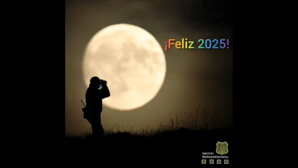 Feliz 2025