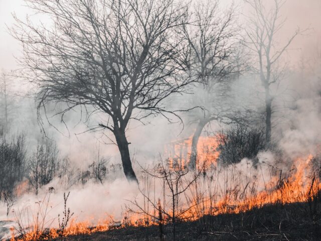 Apamcyl denuncia la incapacidad de la Consejería de Medio Ambiente en la gestión de incendios forestales